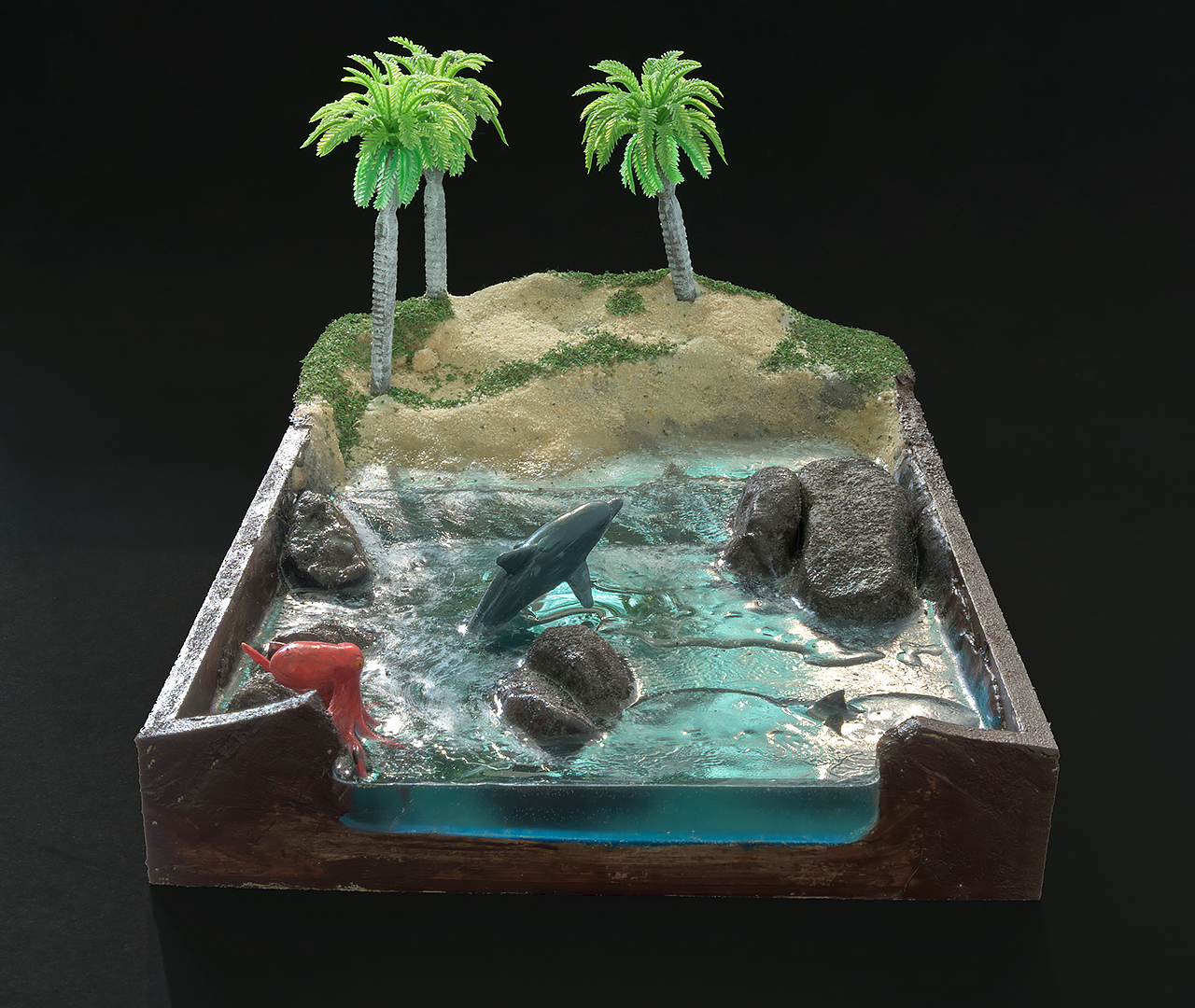 A model of a dolphin in a pond

AI-generated content may be incorrect.